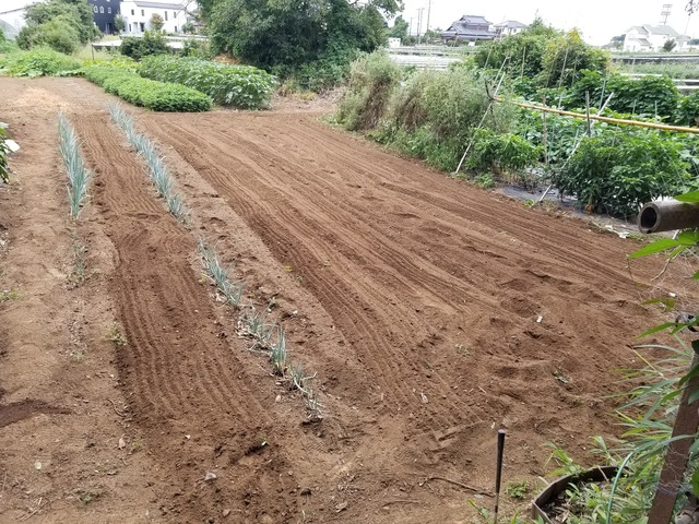 20220825_151533_copy_2016x1512