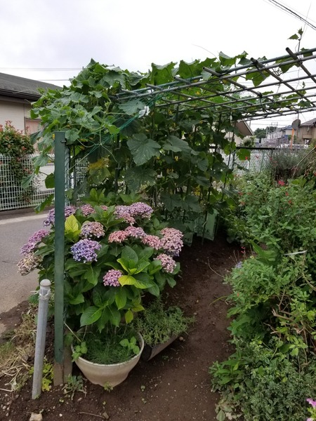 20190706_182432-1620x2160