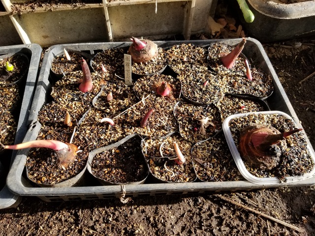 20200224_075829-3024x2268