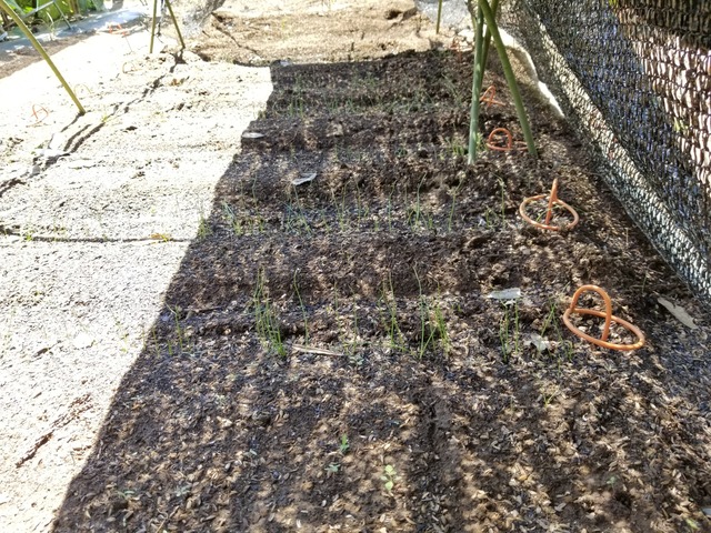 20230812_105304_copy_2016x1512