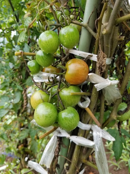 20190707_101149-1620x2160