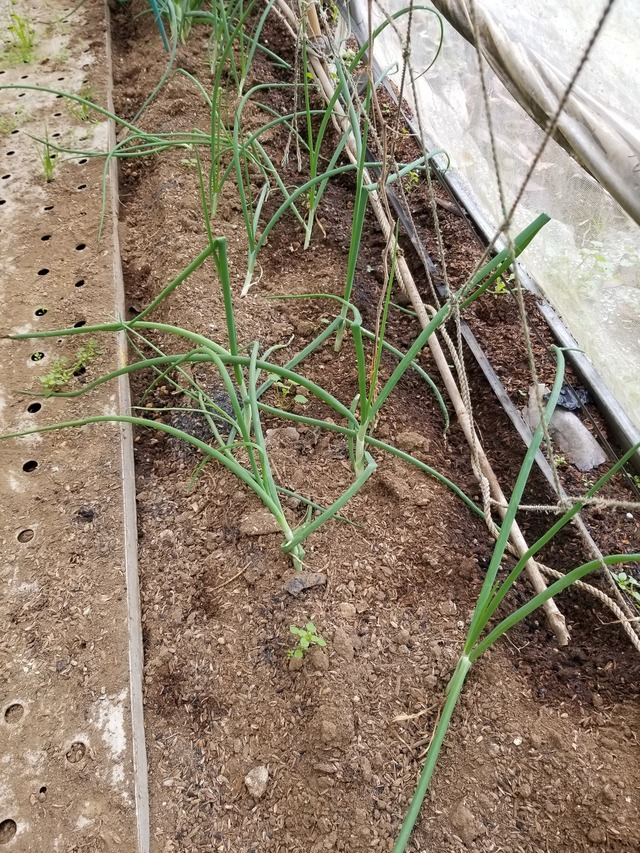 20221206_100740_copy_2268x3024