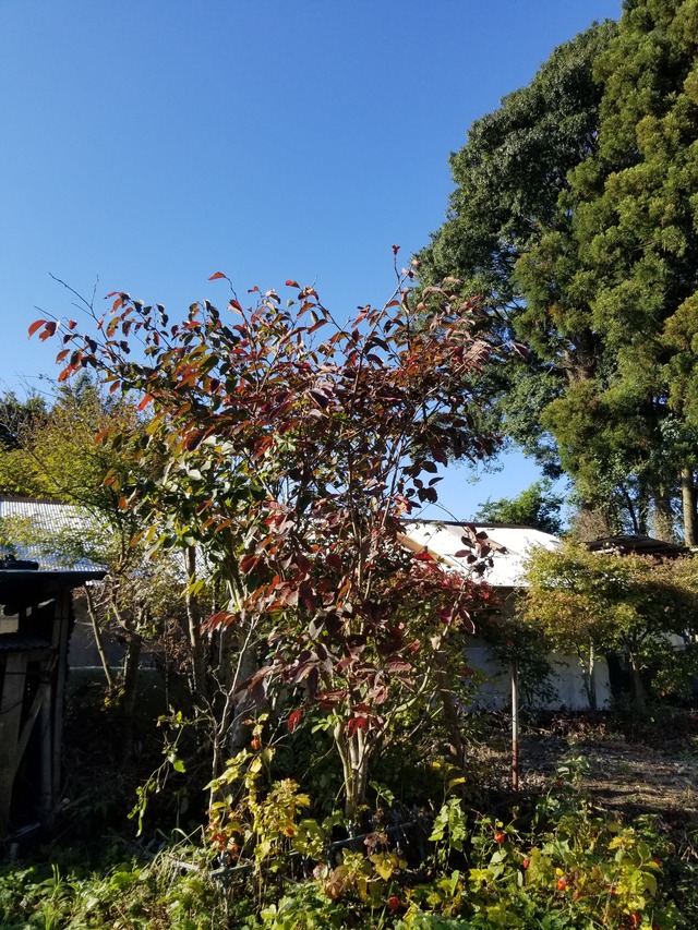 20211030_083113_copy_2268x3024