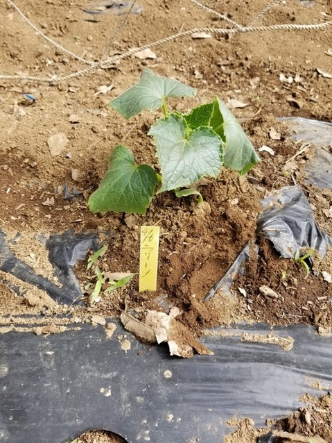 20190515_085631-1620x2160