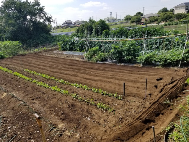 20220914_104719_copy_3024x2268