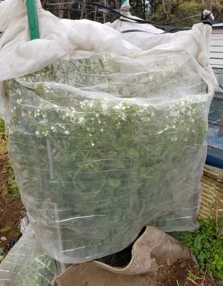 20190408_082658-1200x1600