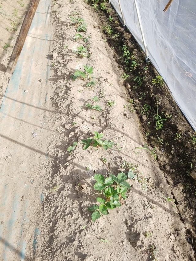 IMG_20231017_142851_copy_1512x2016