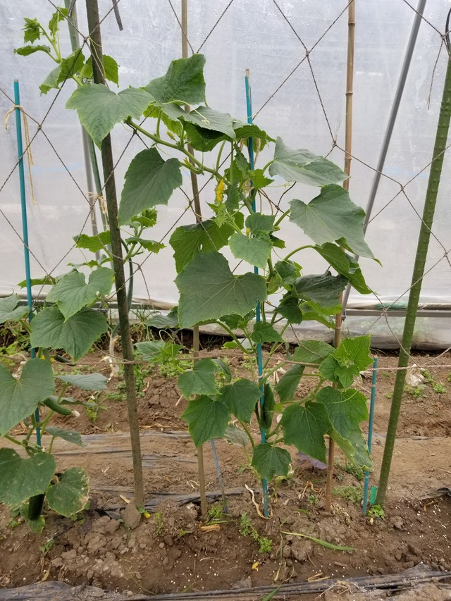 20230513_145916_copy_1512x2016