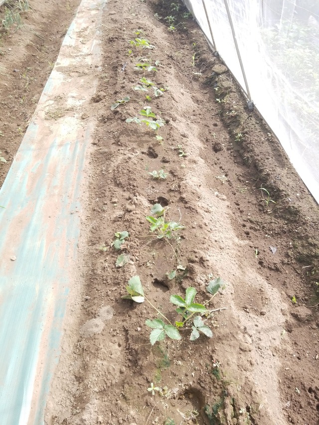 IMG_20231002_110049_copy_1512x2016