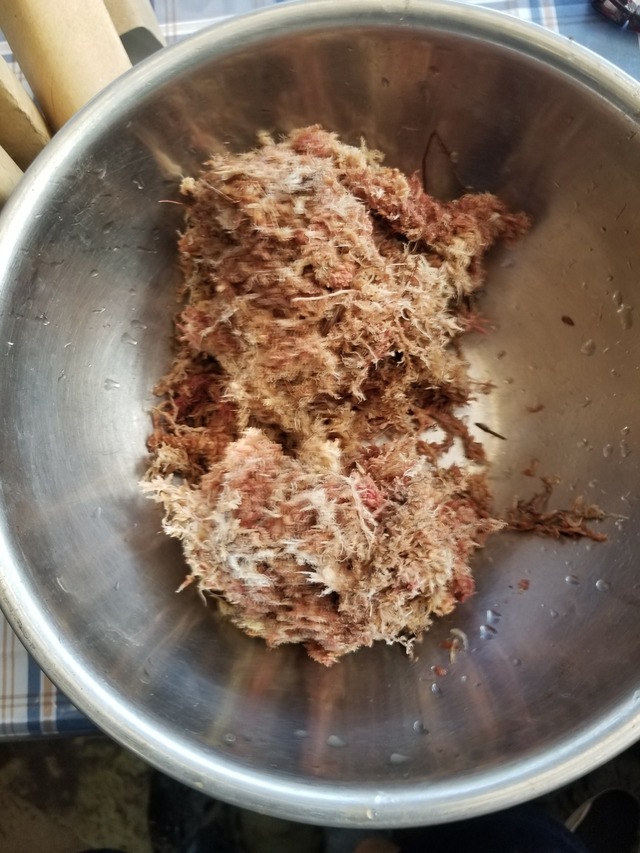 20230814_080942_copy_1512x2016