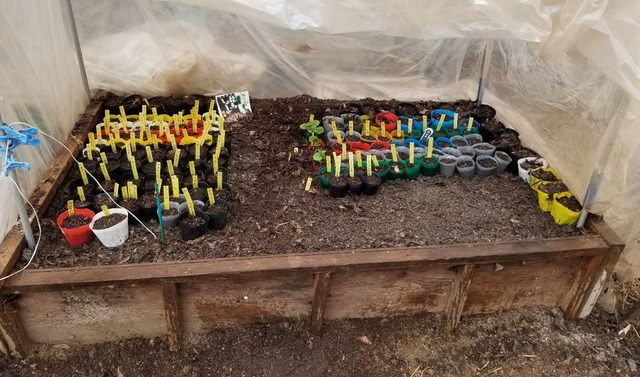 20190330_102645-1365x1024