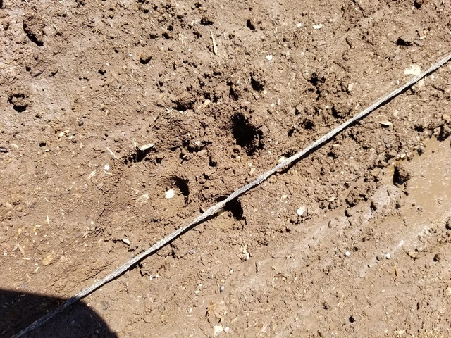 20210806_095033_copy_3024x2268