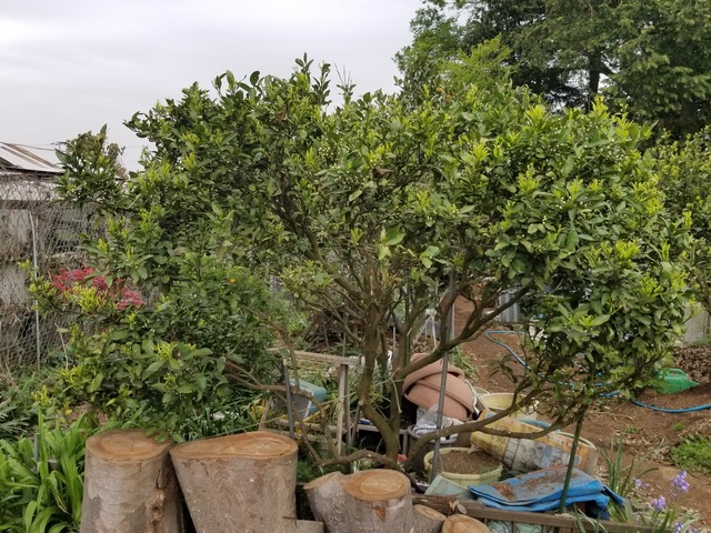 20230422_082353_copy_2016x1512