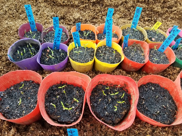 20240201_094933_copy_3024x2268