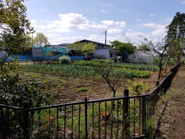 20200424_084508_copy_2268x1701