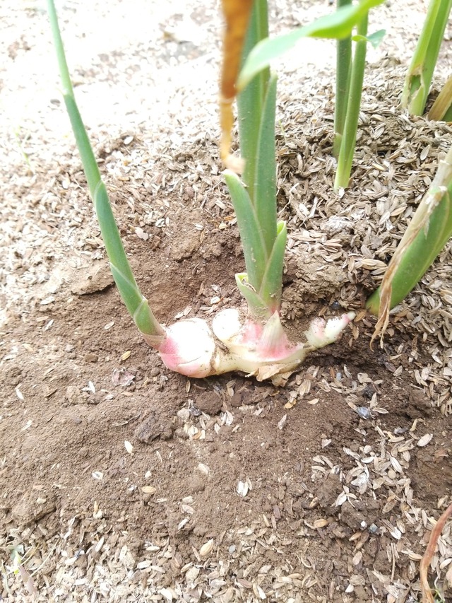 IMG_20231004_134933_copy_1512x2016