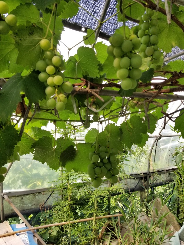 20220711_075800_copy_1512x2016