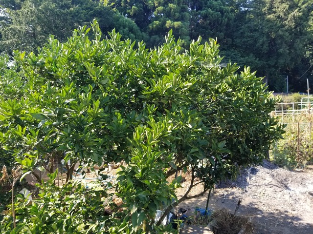 20230726_150343_copy_2016x1512