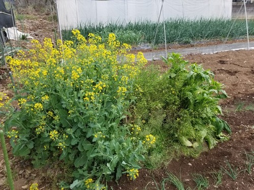 20190422_072956-3024x2268