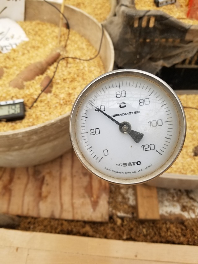 20231228_101239_copy_1512x2016