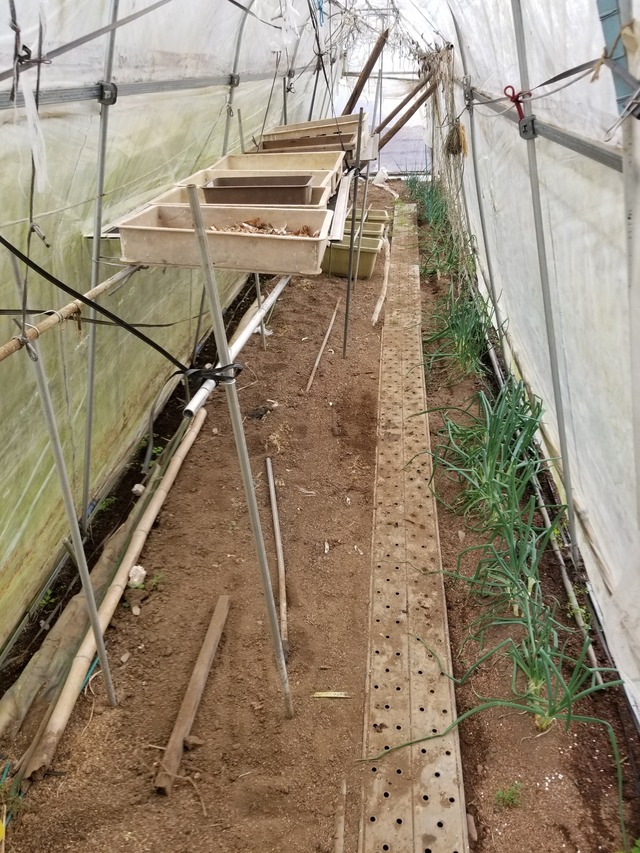 20221206_100640_copy_2268x3024