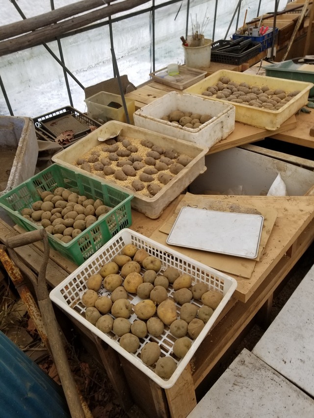 20240308_092152_copy_2268x3024