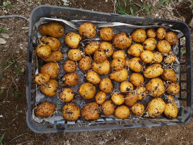 IMG_20230828_095452_copy_2016x1512