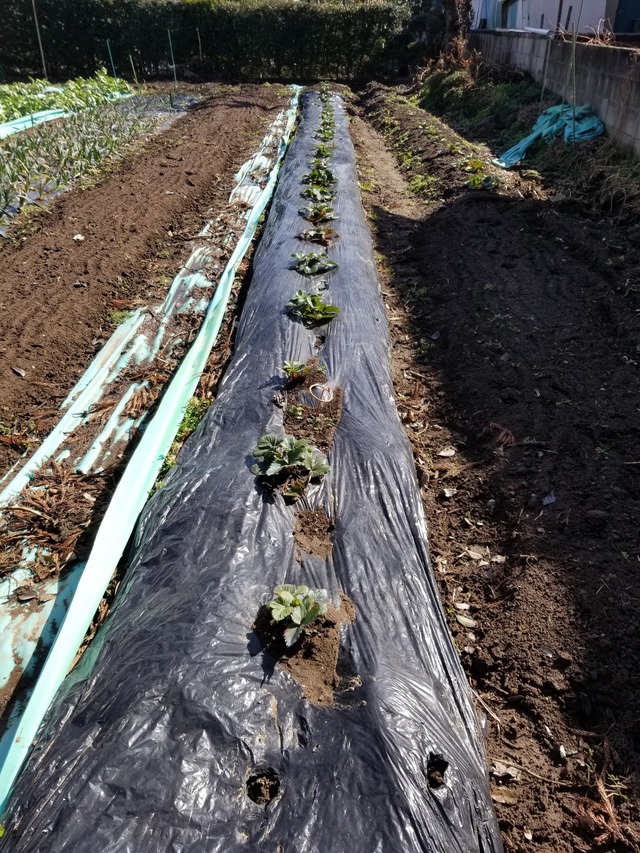 20240224_101929_copy_1512x2016