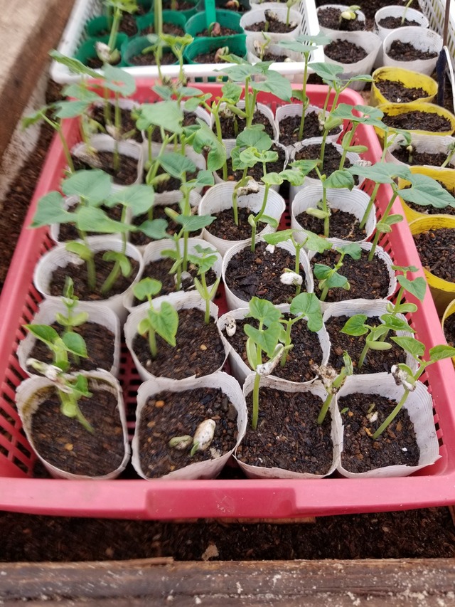 20230416_135333_copy_1512x2016