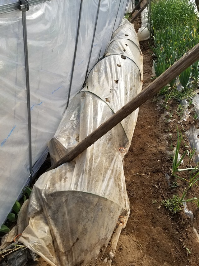 20230320_090942_copy_1209x1612