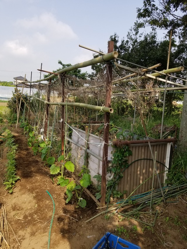 20200513_082015_copy_2268x3024