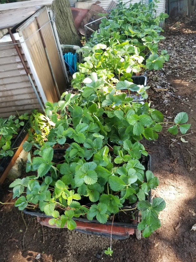 20230711_094414_copy_1512x2016