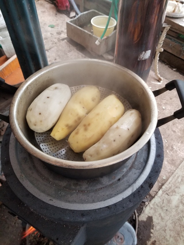 20221014_074922_copy_1512x2016