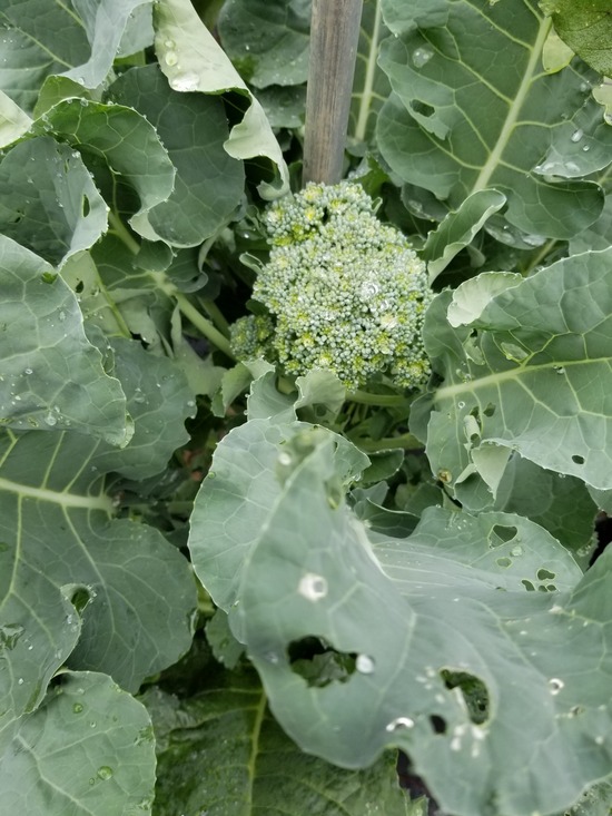 20191011_085531-1620x2160