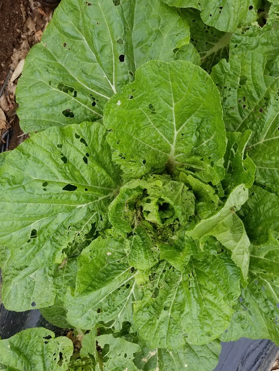 20191007_083235-1620x2160