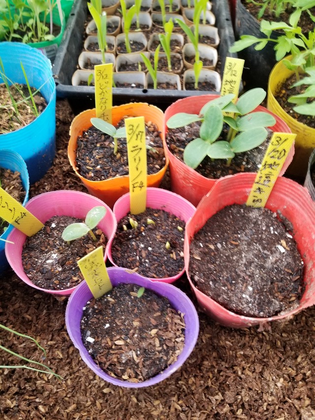 20220322_081004_copy_2268x3024