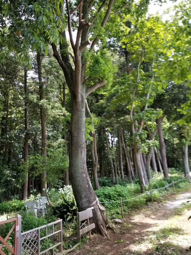 20230527_102129_copy_1512x2016_1