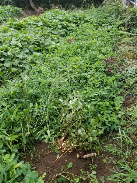 20190822_084815-1620x2160