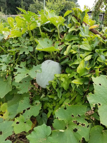 20190826_090248-1620x2160