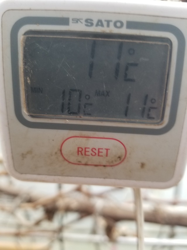 20231228_101608_copy_1512x2016