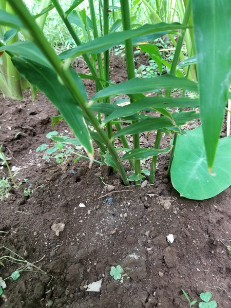 20190816_082818-1620x2160