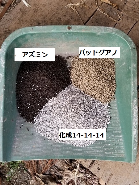 玉ねぎとにんにくに追肥した のじさんの徒然草