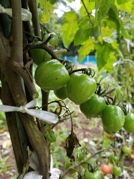 20190707_101028-1620x2160