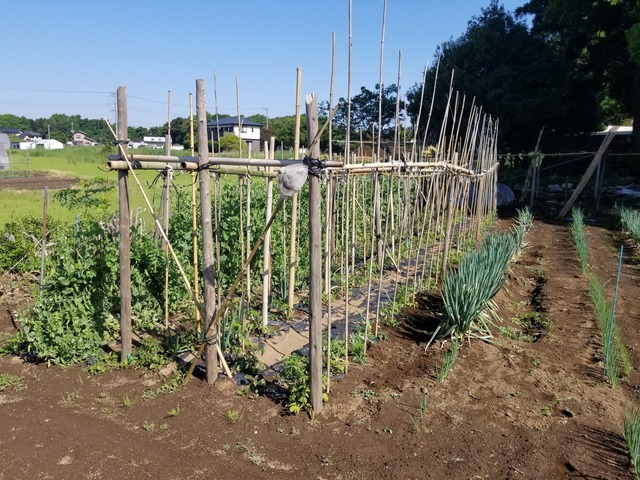 20230510_082006_copy_2016x1512