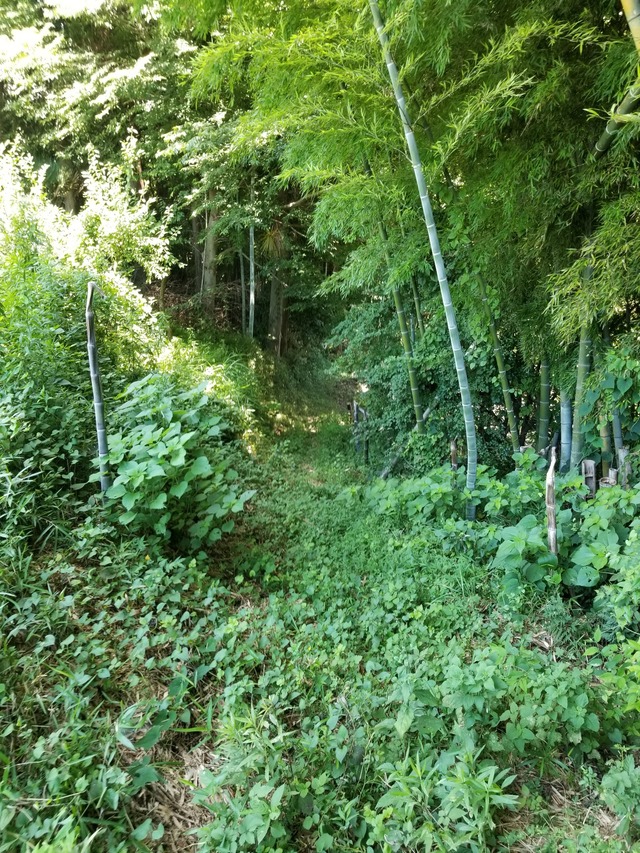 20220724_123652_copy_1512x2016