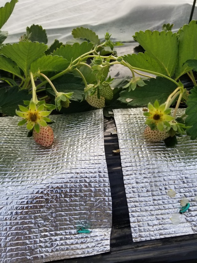 20231228_130936_copy_1512x2016_1