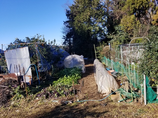 20221225_100744_copy_3024x2268_1