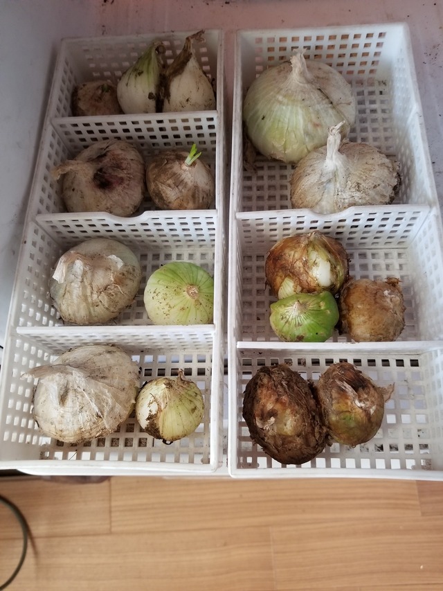 20230624_144310_copy_1512x2016