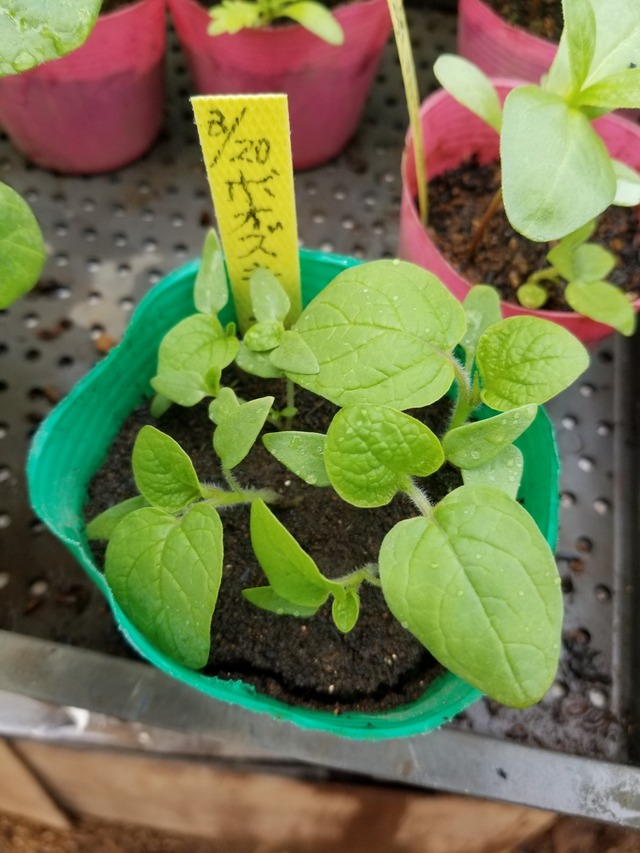 20230416_135609_copy_1512x2016