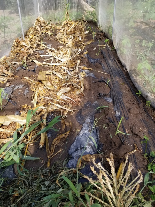 20220709_152743_copy_1512x2016